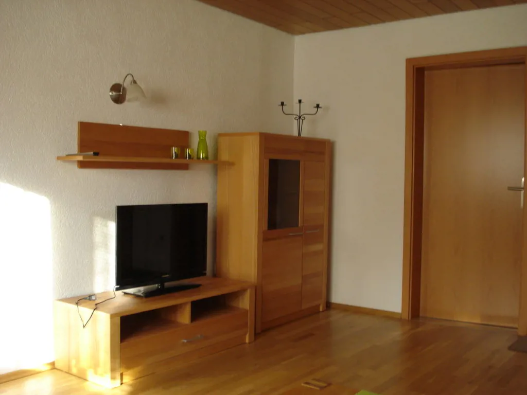 Wohnbereich mit Fernseher und Massivholz-Möbeln